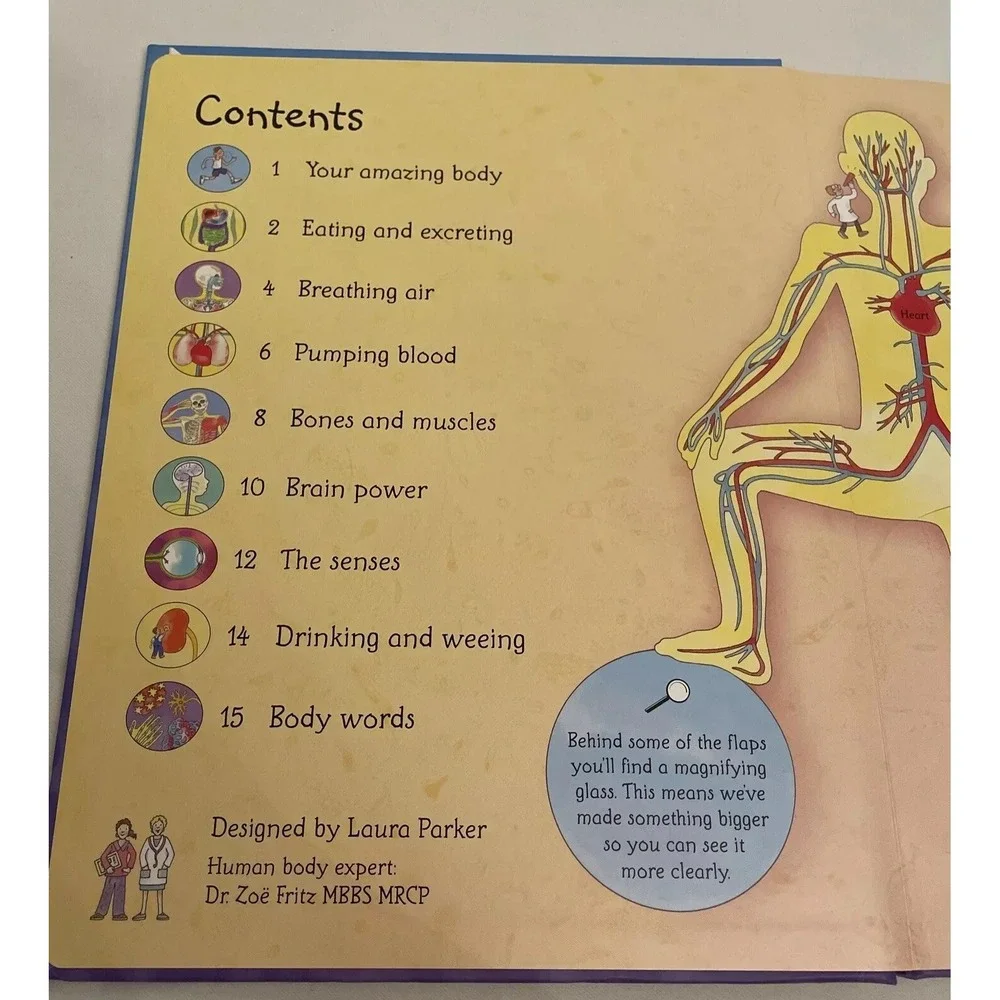 See Inside Your Body Large Board book With Educational‎ Information And Flaps